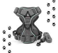 Juego De Arnés Y Correa Para Gatos O Perros - Imagen 14