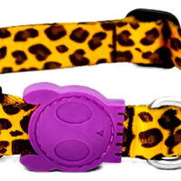 Collar Para Perro Honey Large Zee.dog | Talla L