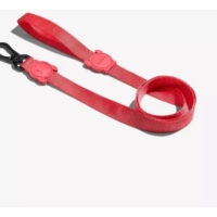 Correa L Solids Neon Coral Zeedog | Large Leash Zee.dog