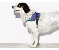 Arnés Para Perro, Wicked Fly Harness Zeedog Talla 4 - Imagen 5