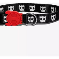 Collar Para Perro Skull De Zeedog Talla Xs