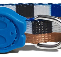 Collar Blocks Talla Unica | Zeecat Antiahorque Gatos