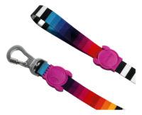 Correa Ultra Premium Zeedog Perro Seguridad Extra Small Color Prisma - Imagen 4