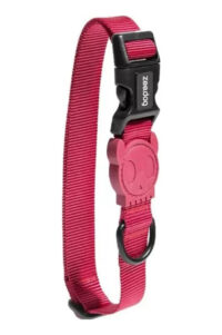 Collar Para Perro Bordeau Zeedog Talla M | Medium Collar