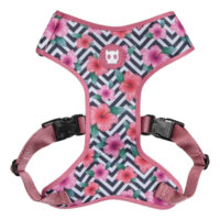 Zeedog Mahalo Arnes Mesh Perro | Extra Small Mahalo Harness - Imagen 3