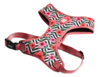 Zeedog Mahalo Arnes Mesh Perro | Extra Small Mahalo Harness