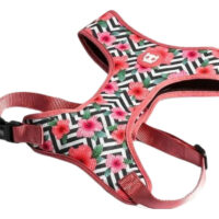 Zeedog Mahalo Arnes Mesh Perro | Extra Small Mahalo Harness
