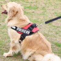 Arnes Police K9 Perros Pequeños Medianos Grandes Xs S M L Xl - Imagen 6