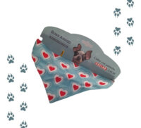 Collar Bandana Para Mascotas | San Valentín Corazones - Imagen 7