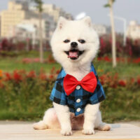 Ropa Para Perros O Gatos | Camisa A Cuadros Para Mascotas - Imagen 6