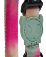 Bliss Regular Collar | Talla S Zeedog