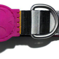 Collar Para Perro Zeedog Modelo Prisma Talla M Tamaño Del Collar Medium Nombre Del Diseño Prisma Color Multicolor