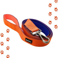 Correas Para Paseo De 6 Metros Para Perros |  Ancho 3.8 Cm
