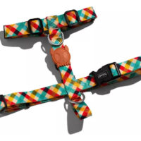 Zeedog Phantom H Harness Talla S | Small H Harness Zeedog