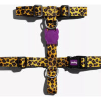 Arnés Para Perro Honey H-harness Zeedog Talla Xs