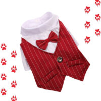 Traje Con Corbatín Para Perro Y Gatos | Smoking Mascotas