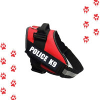 Arnes Police K9 Perros Pequeños Medianos Grandes Xs S M L Xl - Imagen 3