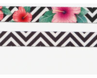 Collar Para Perro Mahalo Zeedog Talla S Color Rosa Chicle - Imagen 5