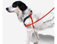 Arnés Anti Tirones Zeedog Soft Walk Fatboy Talla S - Imagen 4