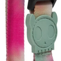 Collar Para Perro Marca Zeedog Modelo Bliss Talla L