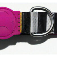 Collar Suave Resistente Ajustable Para Perros Zeedog Prisma
