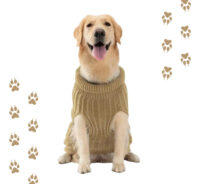 Sweater Para Mascotas | Chaleco Talla Xs Para Perros O Gatos - Imagen 3