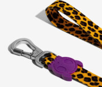 Correa, Traila, Honey Leash Small Zee.dog - Imagen 5