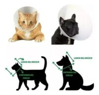 Collar Isabelino 25 Cm ,para Perros Y Gatos - Imagen 4
