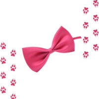 Corbatines Para Perros O Gatos - Imagen 15