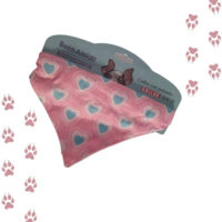 Collar Bandana Para Mascotas | San Valentín Corazones