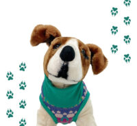 Kimba Eco Chaleco Para Mascotas Perros Gatos Talla L - Imagen 23
