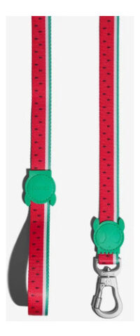 Correa Suave Resistente Perros Zeedog Lola Leash Extra Small - Imagen 4
