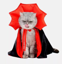 Disfraz Conde Drácula Para Mascotas - Imagen 5