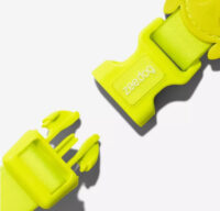 Collar Para Perro Neopro Lime Zeedog Talla L - Imagen 4