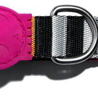 Collar Para Perro Zeedog Modelo Prisma Talla S Color Multico