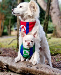 Bandana Para Mascotas Mario Bross | Cosplay Perros O Gatos - Imagen 46