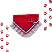 Bandanas Fiestas Patrias Para Mascotas | Talla Xs