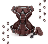 Juego De Arnés Y Correa Para Gatos O Perros - Imagen 6