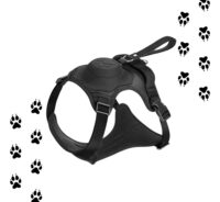Arnés Para Perro Y Correa Retráctil Integrada | Talla M