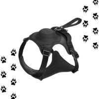 Arnés Para Perro Y Correa Retráctil Integrada | Talla L