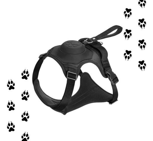Arnés Para Perro Y Correa Retráctil Integrada | Talla M