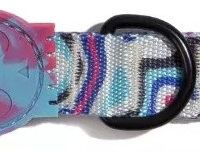 Collar Para Perro Marca Zeedog Modelo Blast Talla L