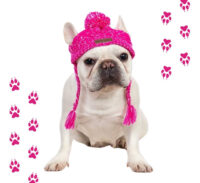 Gorro De Invierno Para Mascotas | Gorro De Lana Color Fucsia - Imagen 13