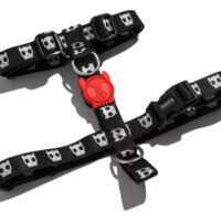 Arnés Zeedog Para Perro Modelo H Harness Skull - Talla S