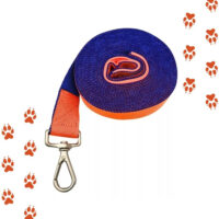 Correas Para Paseo De 6 Metros Para Perros |  Ancho 3.8 Cm - Imagen 4