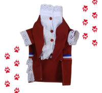 Traje De Huasa Elegante Para Perrita O Gatita | Talla Xs-xl