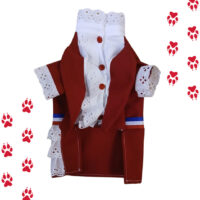 Traje De Huasa Elegante Para Perrita O Gatita | Talla Xs-xl