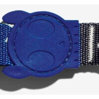 Collar Para Perro Zee.dog Modelo Tarot Talla S | Small