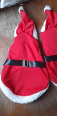 Traje Navidad Perros O Gatos Santa Claus | Tallas Xxs A 3xl - Imagen 11