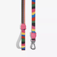 Correa Leash Chroma Zeedog Talla S | Small Leash Zeedog